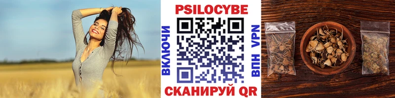 Галлюциногенные грибы MAGIC MUSHROOMS  купить наркотик  Моздок 